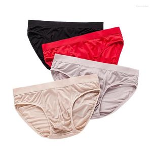 Slip Birdsky Plus Size Slip en soie pour homme Sous-vêtement naturel en mûrier Séchage rapide Forme stéréoscopique 4 couleurs unies.OM-01