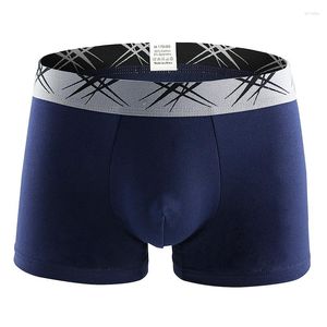 Unterhosen Boxer Herren Unterwäsche Baumwolle Mann Big Short Bunte Atmungsaktive Feste Flexible Shorts Reine Farbe