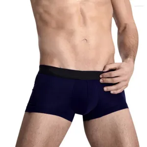 Sous-pants boxer culotte de sous-vêtements sous-vêtements mâles boxers mâles shorts de coton noir homme sexy plus taille haute qualité pour les hommes