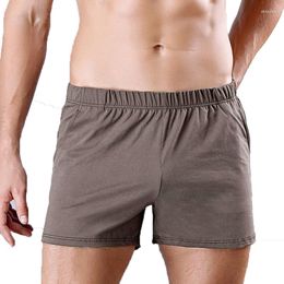 Onderbroek bokser sexy ondergoed man mannen boksers shorts solide ropa interieur bokser homme katoenen slaap met zakken