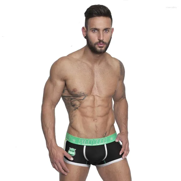 Caleçons Boxer Shorts 2024 hommes sous-vêtements Sexy coton culotte respirant maille tissu Lingerie mâle Calzoncillos