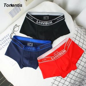 Calzoncillos Boxer Shorts para hombres 1/3 Uds ropa interior de algodón Sexy de moda para adultos de cintura media transpirable hombre Boxershorts coreanos M-XXXL