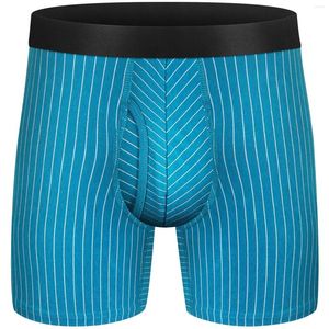 Sous-pants Boxer Shorts Men Panties longue jambe Coton Male sous-vêtements masculin pour Sexy Homme Boxershorts Box Gay