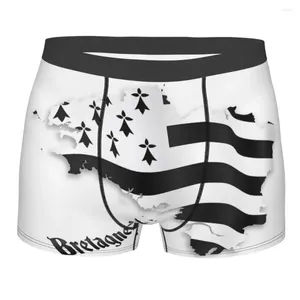 Sous-pants Boxer Shorts Briess Briefs Men Bretagne Map United Flag Sous -wear France Signal Sign Identity Nation Breathable