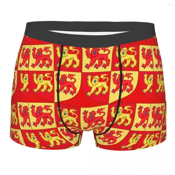 Caleçon Boxer Culotte Slip Hommes Espagne Blason Llwelyn La Grande Galles Sous-Vêtements Pour Homme Plus La Taille