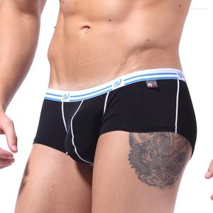 Calzoncillos Boxers Cueca Boxer Sexy Gay Men Underwear Mens Silk Bikini Calvn Calzoncillos Shorts