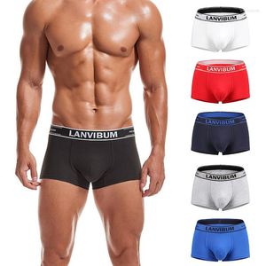 Caleçon Boxers Hommes Sous-Vêtements Coton Confortable Underware Lingerie Respirant Mens Fashion