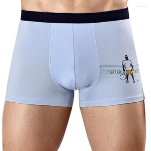 Sous-pants boxeurs masculins coffret doux