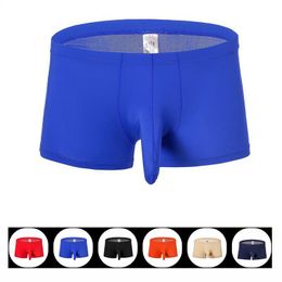 Onderbroek boksershorts mannen 2023 heren boksers olifant stam doorzichtige sexy ijs zijden mouwen zak ondergoed ondergoed.