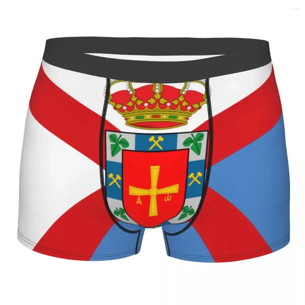 Calzoncillos Boxershorts Hombre Conjunto De Bragas Cómodas Bandera El Bierzo Ropa Interior Hombre Boxer