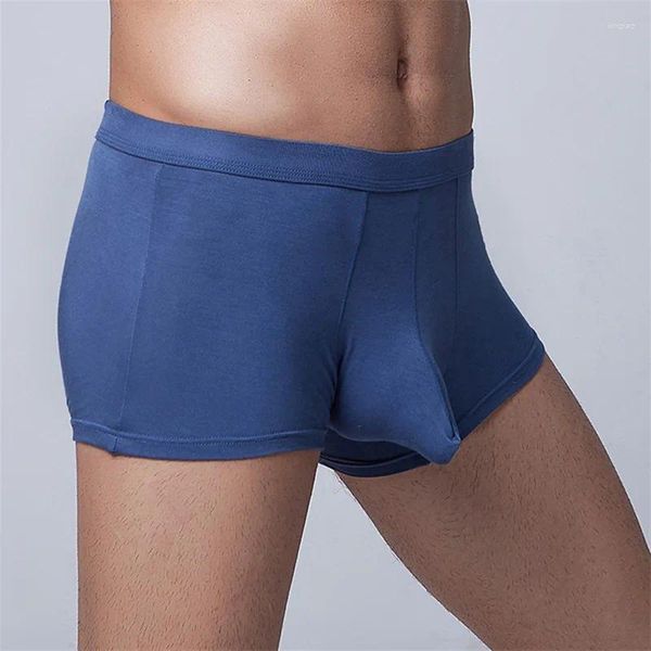 Sous-pants de la marque Boxer Shorts Elephant Mens Underwear Male Pantes Sexy Penis Pouch Boxers Sleeve Trunks Gay Modal