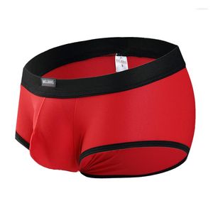 Caleçon Marque Homme Boxers Shorts Sexy Hommes Sous-Vêtements Pénis Gay Nylon Culotte Érotique Sissy Lingerie Hommes Mâle