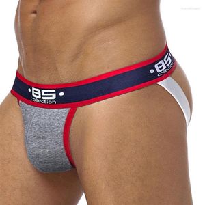 Calzoncillos Marca Hombres Malla Jockstrap Ropa interior G-Strings Tangas Sexy Gay Penis Bolsa Bikini Nalgas Hollow Thong2960