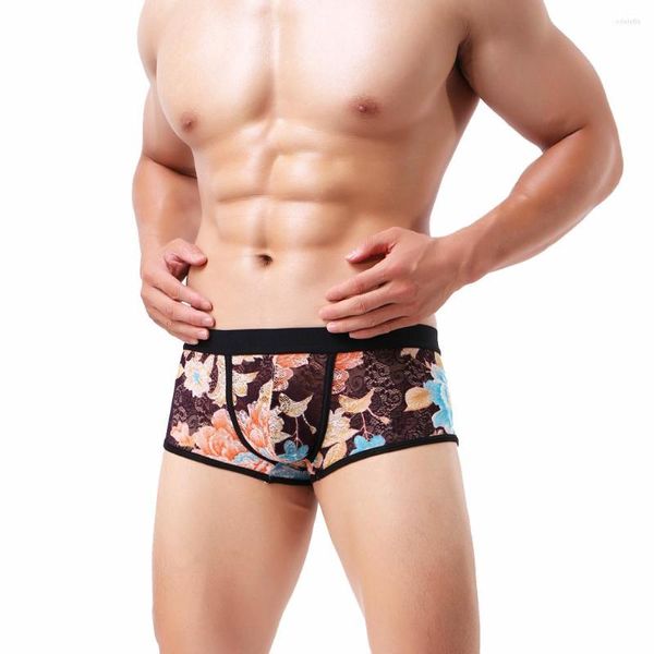 Caleçon Marque Hommes Sexy Sous-Vêtements Transparent Gay Boxers Homme Cuecas Masculina Homewear Mode Hommes Casual Dentelle
