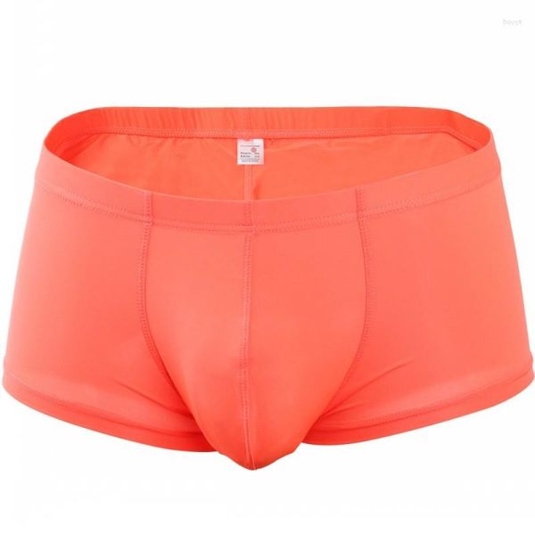 Caleçon marque Pinky Senson hommes sous-vêtements en Nylon sans couture Transparent Boxer Shorts respirant boxeurs maison Sexy