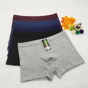 Calzoncillos Boxer de algodón transpirable para hombre con piernas planas y diseño en forma de U para ropa interior