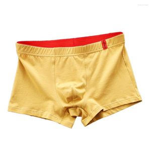 Onderbroek Ademende Mannen Boxers Sexy Ondergoed Boxershorts Elastische Mannelijke Slipje Slaap Bodems Jeugd Voor Jongens