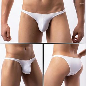 Calzoncillos calzoncillos tanga bragas sexy hombres ropa interior ultra delgada seda hielo hombres pene bolsa grande resbalones hombre erótico