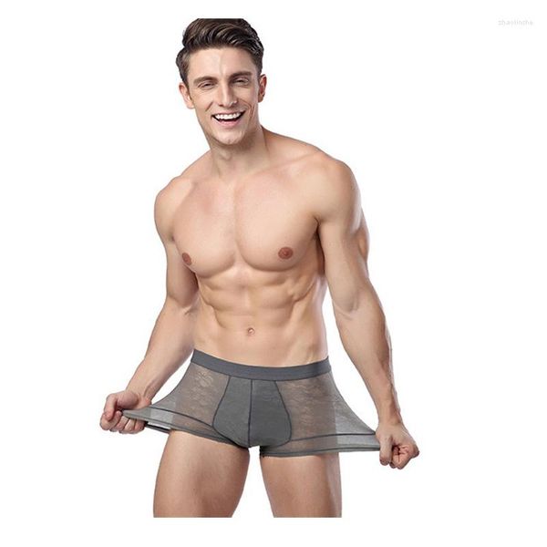 Sous-vêtements Chenke Marque Boxer Hommes Transparent Hommes Sous-Vêtements Sexy Boxers Shorts Bambou Imprimé Court Mâle Culotte Gay Boxershorts