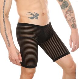 Onderbroek Clever-Menmode Mesh Mesh Boxer Ultra dun een sexy ondergoed Transparant slipje Lange poot boksers shorts uitpuilende zak