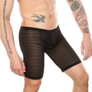 Calzoncillos CLEVER-MENMODE para hombre, bóxer de malla, ropa interior Sexy ultrafina, bragas transparentes, bóxer de pierna larga, pantalones cortos, bolsa para bulto