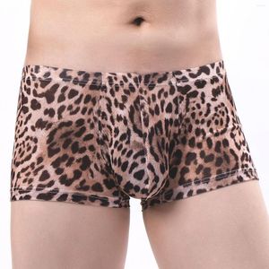 Caleçons CLEVER-MENMODE Slips Sexy pour hommes Fine Mesh Ultra-Thin Flat Word Boxers Sissy Gay Bikini Underwear
