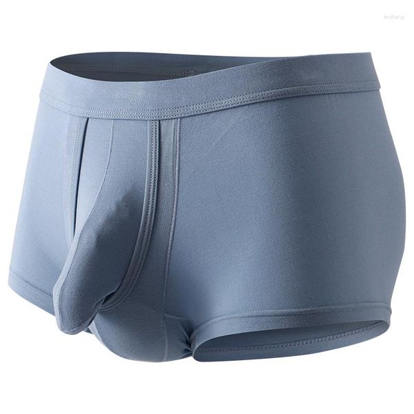 Caleçon CLEVER MENMODE Hommes Boxers Sous-Vêtements Sexy Bulge Pénis Poche Culotte Homme Boxershorts Balles Séparation Lingerie