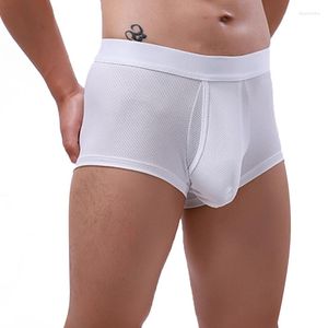 Slip CLEVER-MENMODE Mesh Boxer Shorts Sexy Men Trunks Side Open Big Penis Pouch Boxershorts See-Through Male Sleep Bottoms