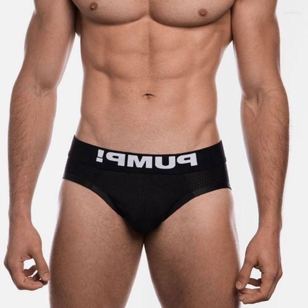 Slip confortable Sexy sous-vêtements hommes slips Gay homme coton hommes sous-vêtements maille mâle culotte Cuecas Masculinas