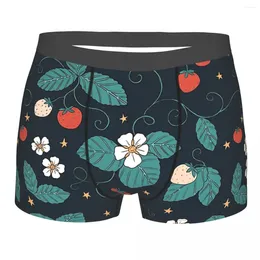Sous-vêtements Cottagecore esthétique visuelle coton culotte sous-vêtements pour hommes sexy fraises foncées et étoiles shorts slips