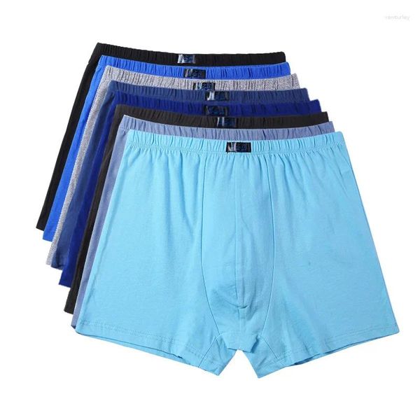 Caleçons en coton grande taille pour hommes, boxers et grands shorts, sous-vêtements respirants 5XL 6XL, 4 pièces/lot de culottes