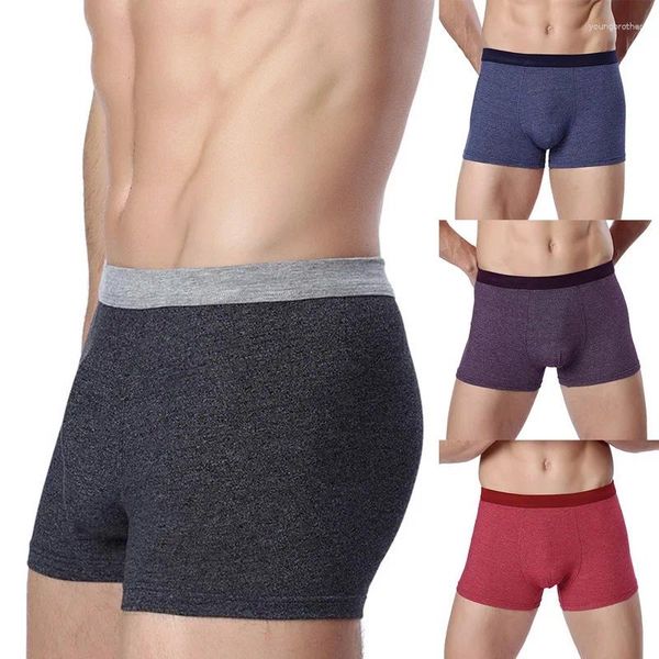 Sous-pants en lin en coton hommes sans doutes sous-vêtements Boxer Boxer ROPA ROPA INTÉRIEUR HOMBRE SOft Calzoncilo Quality Boxershorts