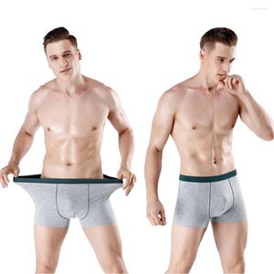 Caleçon coton hommes sous-vêtements grande taille Boxer respirant mi-taille 3D sans couture Sexy U poche convexe XL-9XL