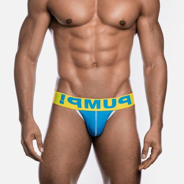Slip coton Sexy sous-vêtements pour hommes slips hommes Bikini Gay drôle