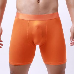 Calzoncillos Algodón Sólido Hombres Boxer Ropa interior 3D Legging largo Deporte Negro Blanco Azul Naranja Amarillo Boxershorts