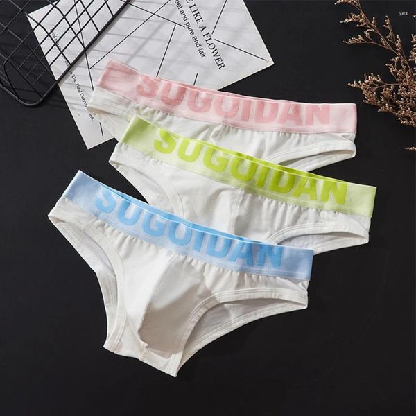 Sous-vêtements coton U convexe poche culotte hommes sexy taille basse slips sous-vêtements confortables mâle soyeux boyshort vêtements de nuit sous-vêtements