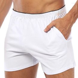 Caleçons sous-vêtements en coton Boxershorts sommeil hommes slips de natation ou boxeurs avec poche