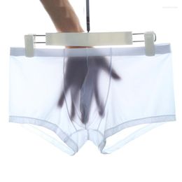 Caleçon Cuecas Boxers 10 Pcs/Lot Demi Sous-Vêtements Transparents Hommes Boxer Shorts Glace Soie Sans Couture Sexy Hommes Respirant