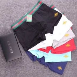 Onderbroeken designer (1-2 pack) kleine bij herenondergoed Puur katoenen boxershorts jeugd comfortabele ademende shorts onderbroeken voor heren 8SF7