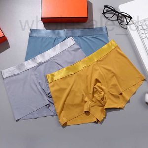 Onderbroek Designer Boxers Nieuwe herenondergoed Ijs Zijde Dunne Boutique H-lijn Antibacterieel Ademend Platte pijpen shorts PGVA