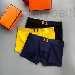 Sous-vêtements Designer Sous-vêtements pour hommes Marque de mode Coton antibactérien Taille moyenne Jeunes Boyshorts Head Boxed C2V3