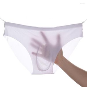 Culotte DOIAESKV Slip de sous-vêtement pour hommes Été Glace Transparent Taille basse Sexy Culotte Gay Sans couture Silky