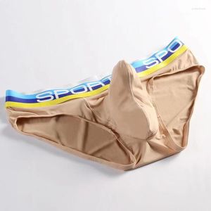 Onderbroek olifant neus sexy mannen ondergoed u convex briefs zakje ademend mesh sexi shorts mannelijke cueca gay penis zijden zomer