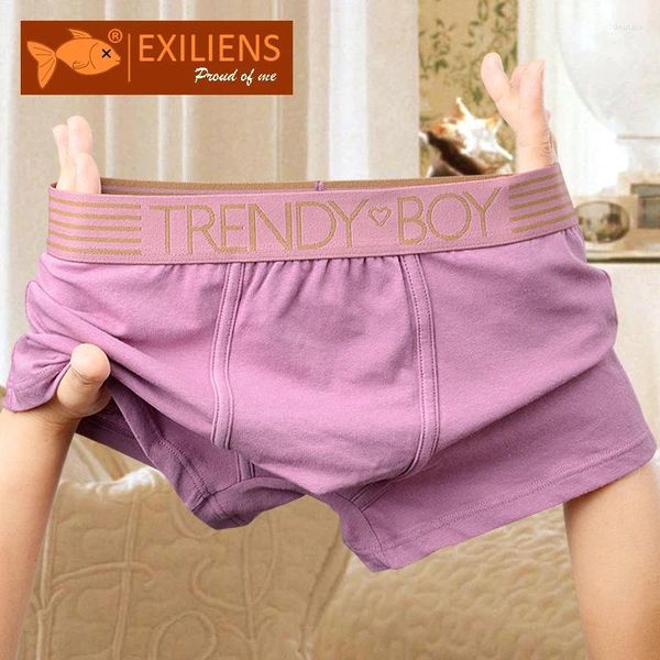 Sous-vêtements EXILIENS TRENDY BOY Boxer homme sous-vêtements Calzoncillos Slips Hombre hommes Boxers Cuecas Masculinas homme taille Plus L-3XL XLL5860