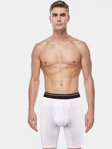 Onderbroek Extra Lange Boxer Mannen Ultralong Plus Size Katoen Sport 120KG Shorts Mannelijke Hoge Taille Hoge Witte Slipje ondergoed