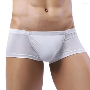 Slip mode homme Sexy glace soie Nylon boxeurs Shorts drôle culotte mâle Gay pénis poche Jockstrap renflement sous-vêtements