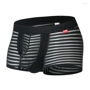 Onderbroek Mode Mannen Sexy Mesh Gestreepte Boxers Grappige Slipje Mannelijke Gay Penis Pouch Jockstrap Ardennen Man Nylon Ijs Zijde Ondergoed