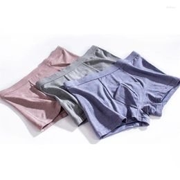 Sous-pants Fashion Men Underwear Boxer Cotton 3pcs / Lot Sexy U Convex Pouche MAN'S et BOY BOXERS Plus taille