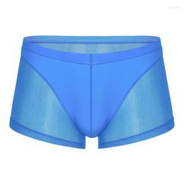 Calzoncillos Moda Hombres Ropa interior Boxer Shorts Malla Transparente Sexy Ultra-delgado Low Rise Gay Boxers