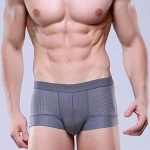 Caleçons Mode Sexy Hommes Glace Soie Creux Respirant Maille Angle Plat Sous-Vêtements Couleur Pure Haute Qualité Boxer 5 pcs/lot